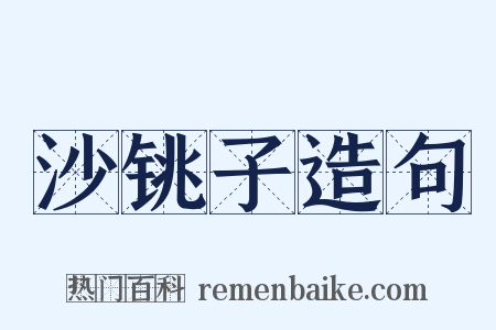 沙铫子造句是什么意思的图片